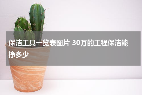 保洁工具一览表图片 30万的工程保洁能挣多少