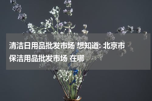 清洁日用品批发市场 想知道: 北京市 保洁用品批发市场 在哪