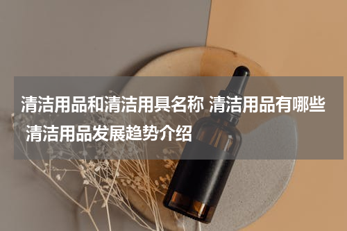 清洁用品和清洁用具名称 清洁用品有哪些 清洁用品发展趋势介绍