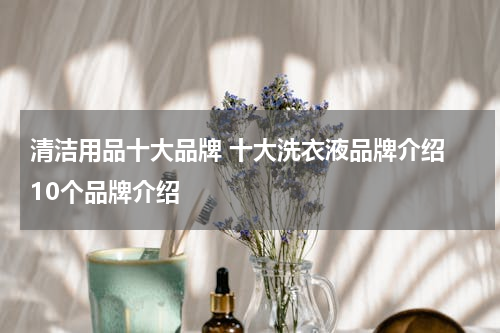 清洁用品十大品牌 十大洗衣液品牌介绍 10个品牌介绍