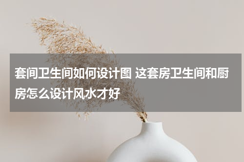 套间卫生间如何设计图 这套房卫生间和厨房怎么设计风水才好