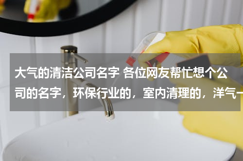 大气的清洁公司名字 各位网友帮忙想个公司的名字，环保行业的，室内清理的，洋气一点的，要10个。