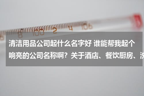 清洁用品公司起什么名字好 谁能帮我起个响亮的公司名称啊？关于酒店、餐饮厨房、洗衣房的清洁用品。谢谢各位！