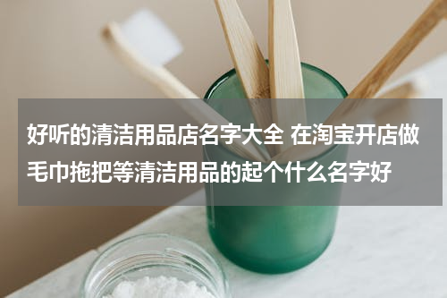好听的清洁用品店名字大全 在淘宝开店做毛巾拖把等清洁用品的起个什么名字好