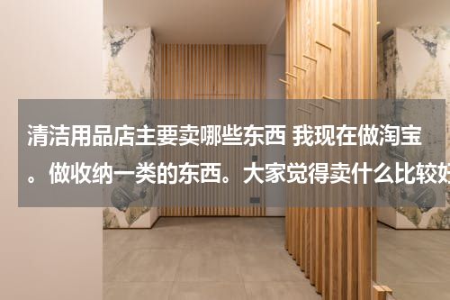 清洁用品店主要卖哪些东西 我现在做淘宝。做收纳一类的东西。大家觉得卖什么比较好呢