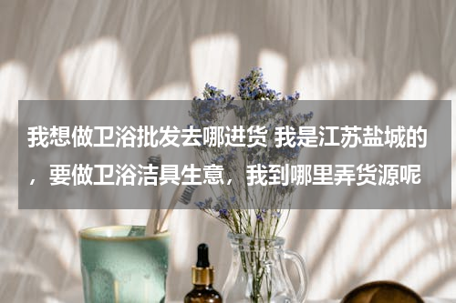 我想做卫浴批发去哪进货 我是江苏盐城的，要做卫浴洁具生意，我到哪里弄货源呢