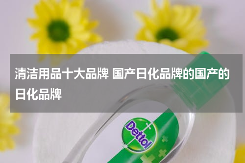 清洁用品十大品牌 国产日化品牌的国产的日化品牌