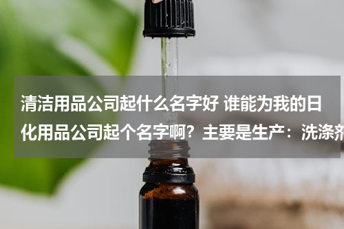 清洁用品公司起什么名字好 谁能为我的日化用品公司起个名字啊？主要是生产：洗涤剂、洗发水、洗衣液等等。