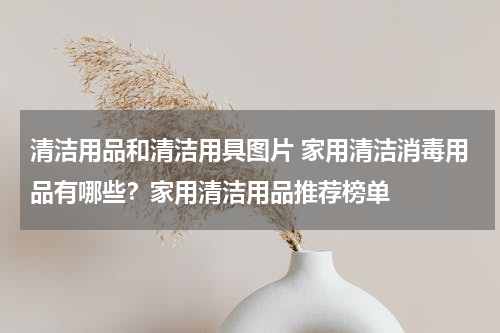 清洁用品和清洁用具图片 家用清洁消毒用品有哪些？家用清洁用品推荐榜单