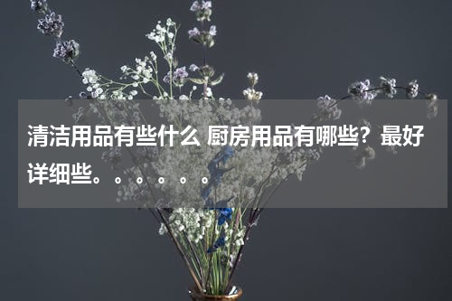 清洁用品有些什么 厨房用品有哪些？最好详细些。。。。。。