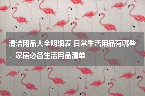 清洁用品大全明细表 日常生活用品有哪些，家居必备生活用品清单