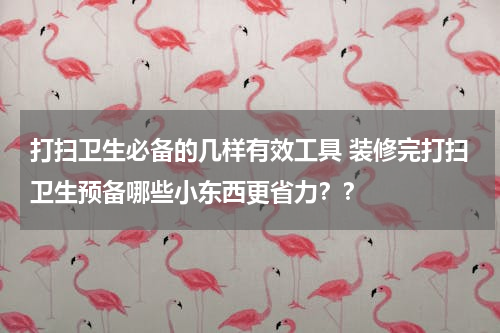 打扫卫生必备的几样有效工具 装修完打扫卫生预备哪些小东西更省力？？