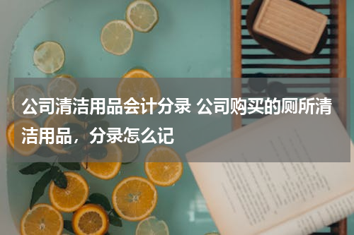 公司清洁用品会计分录 公司购买的厕所清洁用品，分录怎么记