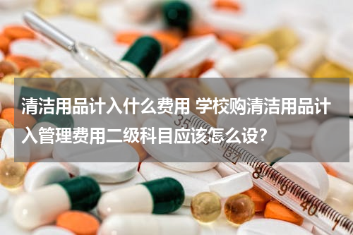 清洁用品计入什么费用 学校购清洁用品计入管理费用二级科目应该怎么设？