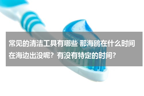 常见的清洁工具有哪些 那海鸥在什么时间在海边出没呢？有没有特定的时间？