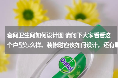 套间卫生间如何设计图 请问下大家看看这个户型怎么样。装修时应该如何设计。还有厨房，厕所，所谓的阳台的采光如何解决。