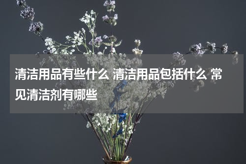 清洁用品有些什么 清洁用品包括什么 常见清洁剂有哪些
