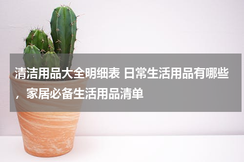 清洁用品大全明细表 日常生活用品有哪些，家居必备生活用品清单