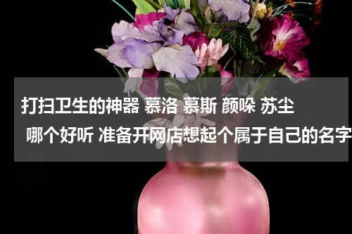 打扫卫生的神器 慕洛 慕斯 颜哚 苏尘 哪个好听 准备开网店想起个属于自己的名字