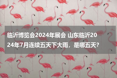 临沂博览会2024年展会 山东临沂2024年7月连续五天下大雨，是哪五天？