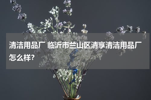清洁用品厂 临沂市兰山区清享清洁用品厂怎么样？
