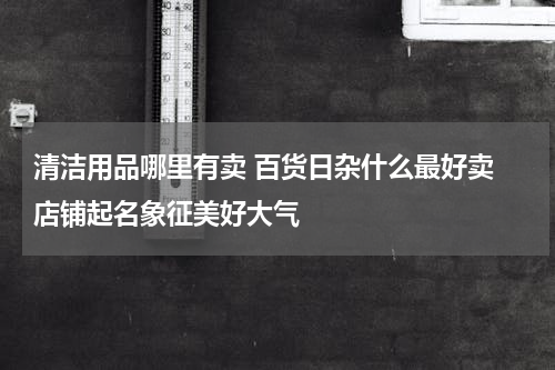 清洁用品哪里有卖 百货日杂什么最好卖 店铺起名象征美好大气