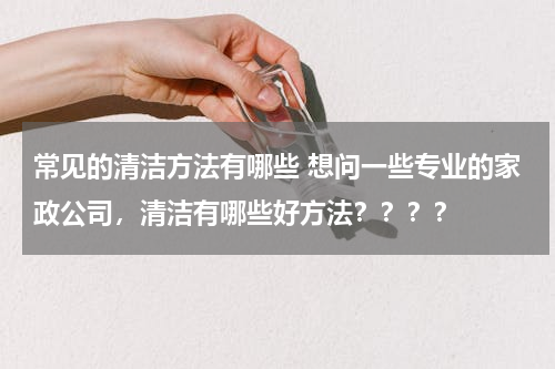 常见的清洁方法有哪些 想问一些专业的家政公司，清洁有哪些好方法？？？？