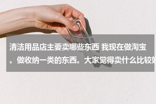 清洁用品店主要卖哪些东西 我现在做淘宝。做收纳一类的东西。大家觉得卖什么比较好呢