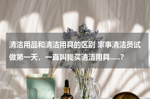 清洁用品和清洁用具的区别 家事清洁员试做第一天，一直叫我买清洁用具.....?
