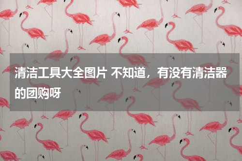 清洁工具大全图片 不知道，有没有清洁器的团购呀