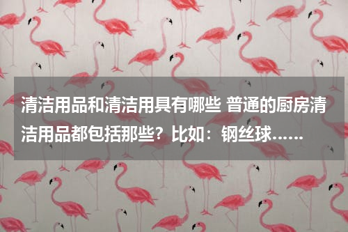 清洁用品和清洁用具有哪些 普通的厨房清洁用品都包括那些？比如：钢丝球……