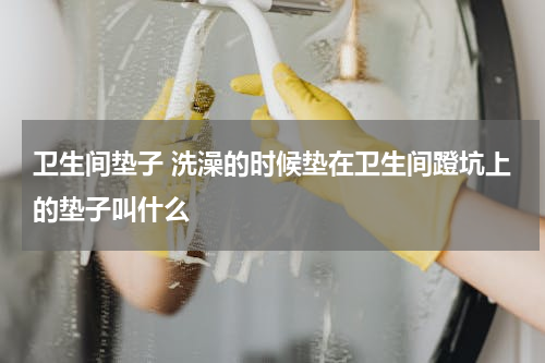 卫生间垫子 洗澡的时候垫在卫生间蹬坑上的垫子叫什么