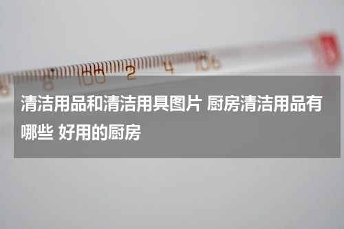 清洁用品和清洁用具图片 厨房清洁用品有哪些 好用的厨房