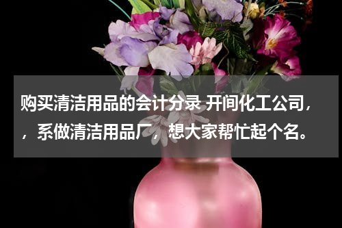 购买清洁用品的会计分录 开间化工公司，，系做清洁用品厂，想大家帮忙起个名。