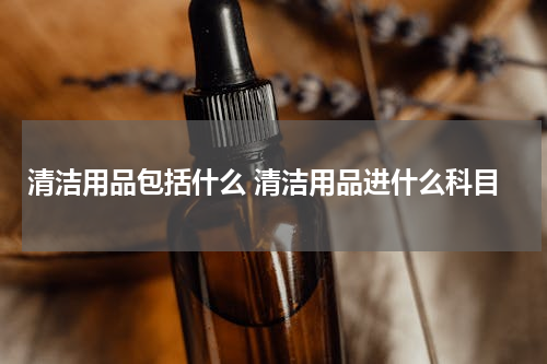 清洁用品包括什么 清洁用品进什么科目