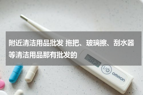 附近清洁用品批发 拖把、玻璃擦、刮水器等清洁用品那有批发的