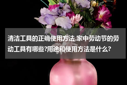 清洁工具的正确使用方法 家中劳动节的劳动工具有哪些?用途和使用方法是什么?