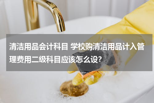 清洁用品会计科目 学校购清洁用品计入管理费用二级科目应该怎么设？