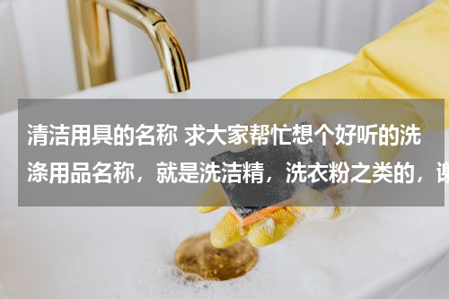 清洁用具的名称 求大家帮忙想个好听的洗涤用品名称，就是洗洁精，洗衣粉之类的，谢啦！