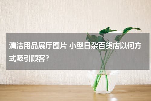 清洁用品展厅图片 小型日杂百货店以何方式吸引顾客？