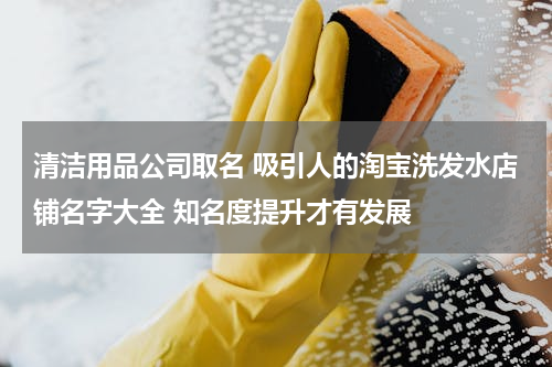 清洁用品公司取名 吸引人的淘宝洗发水店铺名字大全 知名度提升才有发展