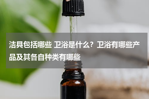 洁具包括哪些 卫浴是什么？卫浴有哪些产品及其各自种类有哪些