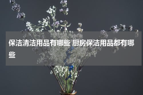 保洁清洁用品有哪些 厨房保洁用品都有哪些