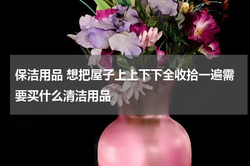 保洁用品 想把屋子上上下下全收拾一遍需要买什么清洁用品