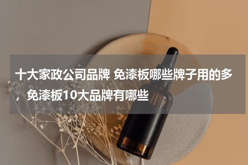十大家政公司品牌 免漆板哪些牌子用的多，免漆板10大品牌有哪些