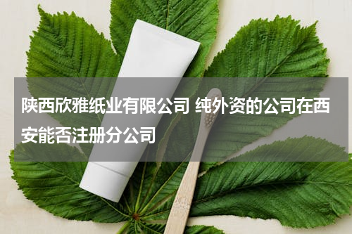 陕西欣雅纸业有限公司 纯外资的公司在西安能否注册分公司