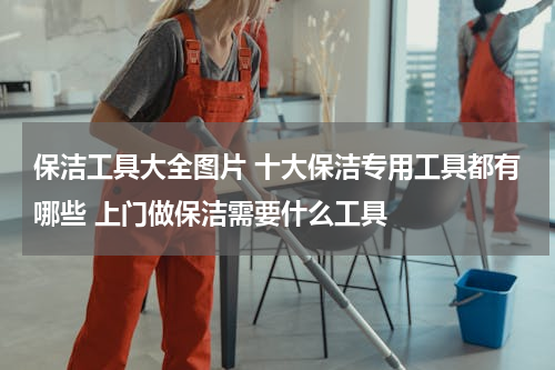 保洁工具大全图片 十大保洁专用工具都有哪些 上门做保洁需要什么工具