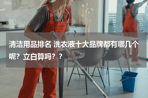 清洁用品排名 洗衣液十大品牌都有哪几个呢？立白算吗？？