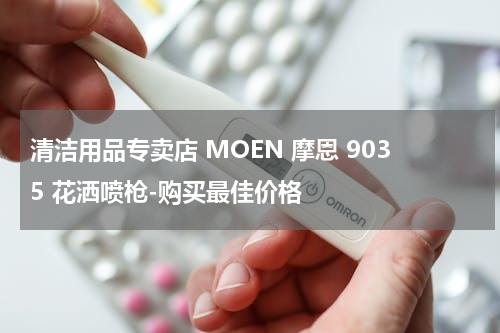 清洁用品专卖店 MOEN 摩恩 9035 花洒喷枪-购买最佳价格