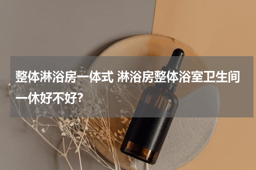 整体淋浴房一体式 淋浴房整体浴室卫生间一休好不好？
